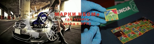 PSILOCYBIN Вяземский