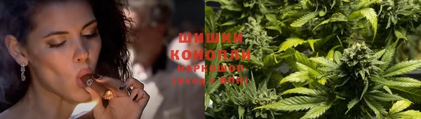 PSILOCYBIN Вяземский