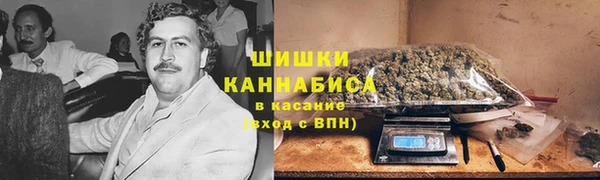 PSILOCYBIN Вяземский