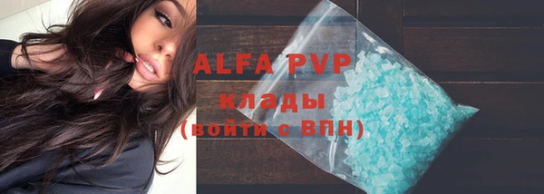 дживик Вязьма
