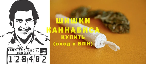 дживик Вязьма