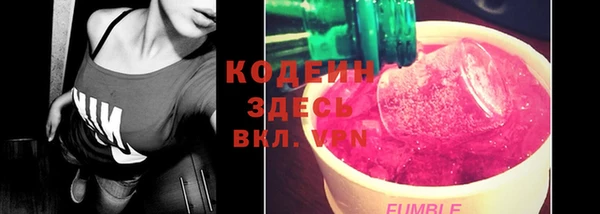 PSILOCYBIN Вяземский