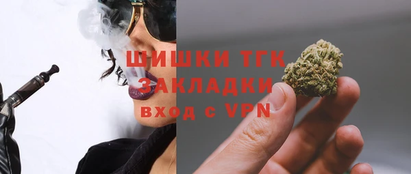 PSILOCYBIN Вяземский