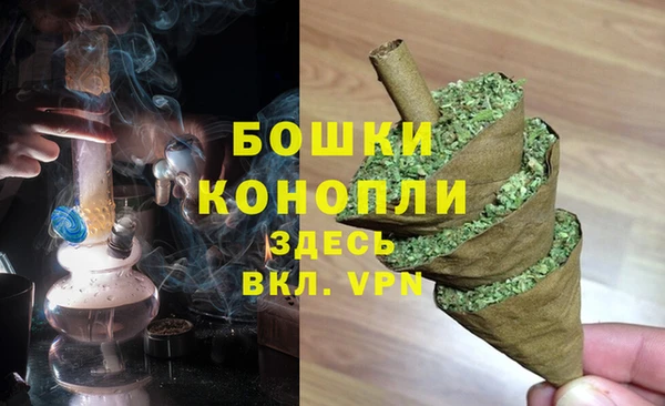дживик Вязьма