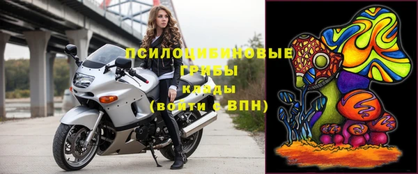 дживик Вязьма