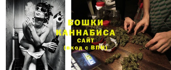 дживик Вязьма