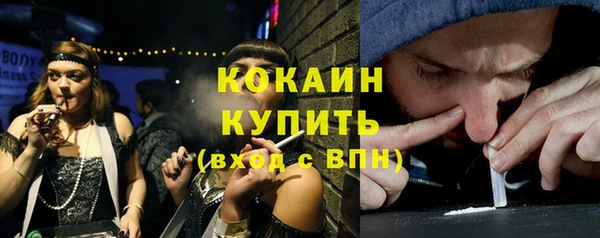 PSILOCYBIN Вяземский