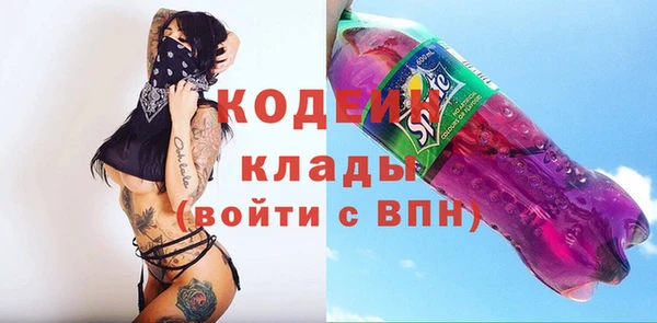 PSILOCYBIN Вяземский