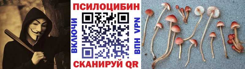 Галлюциногенные грибы мицелий  Чкаловск 